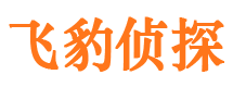 会理市婚姻调查